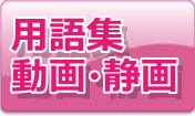 用語集 動画・静止画
